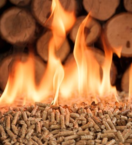 Pellets de bois